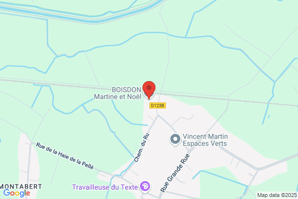 Boisnon Martine