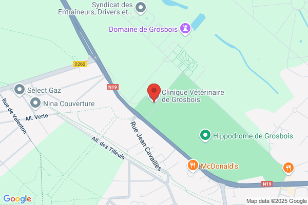 Corde Et Rossignol Veterinaires