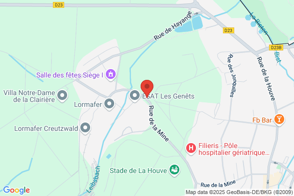 Hopital De Creutzwald Standard
