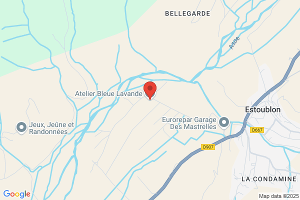 Bleu Lavande Sebastien Gros