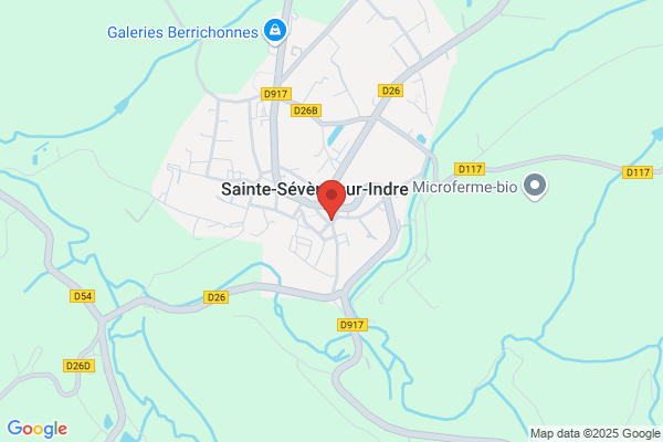 Cafe Brasserie Le Duguesclin