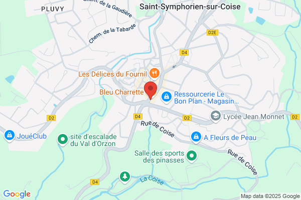 Buisson Fleurs