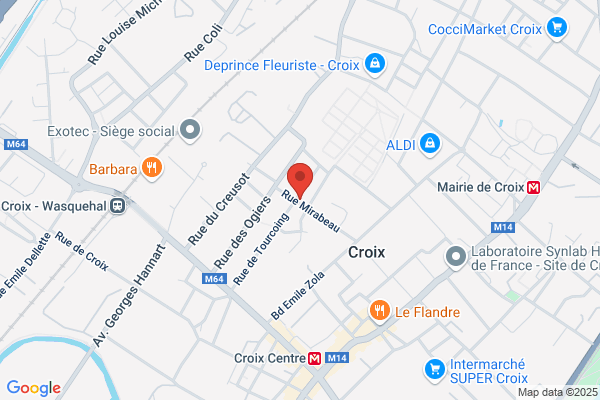 Carton Logistique