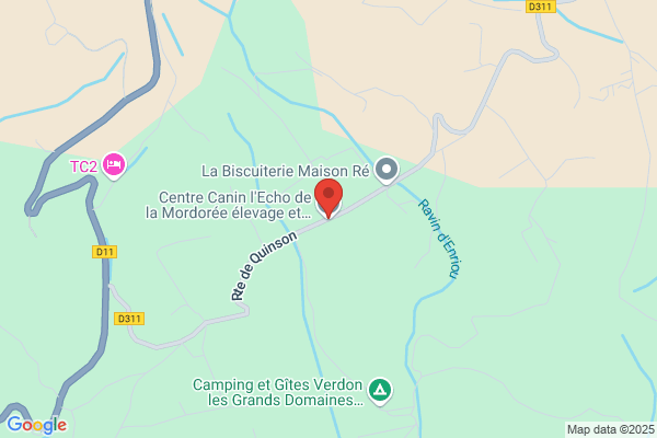Elevage De L Envol De La Mordoree