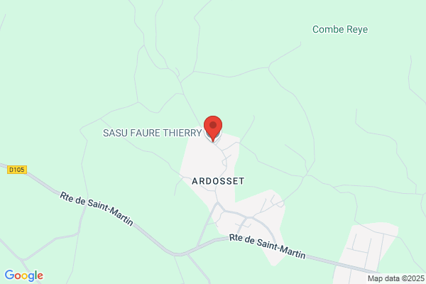 Sasu Faure Thierry