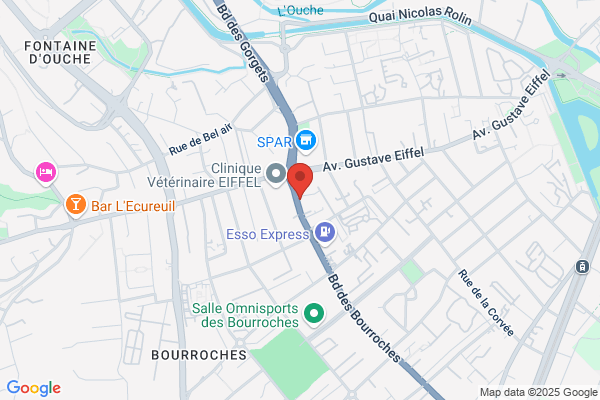 Ecoles Primaires Psychologue Scolaire Larrey Mixte