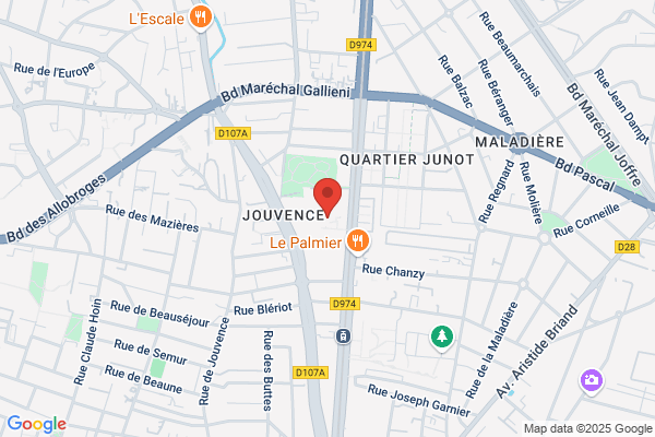 College Insertion Professionnelle
