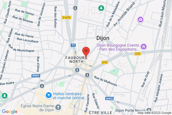 Buffet Delon Francoise Psychotherap