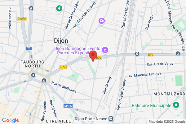Auditorium De Dijon Standard