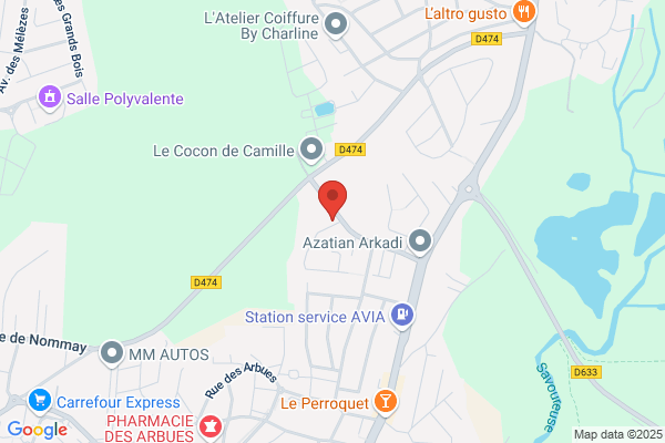 Gigon Camille