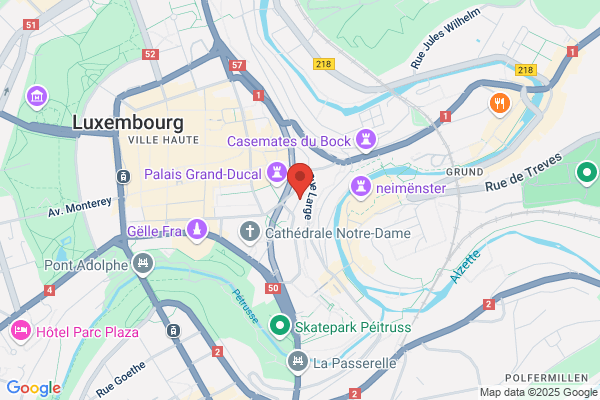 Brusselle Michel