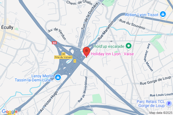 Holiday Inn Lyon - Vaise, an IHG Hotel