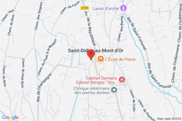Immobiliere St Didier