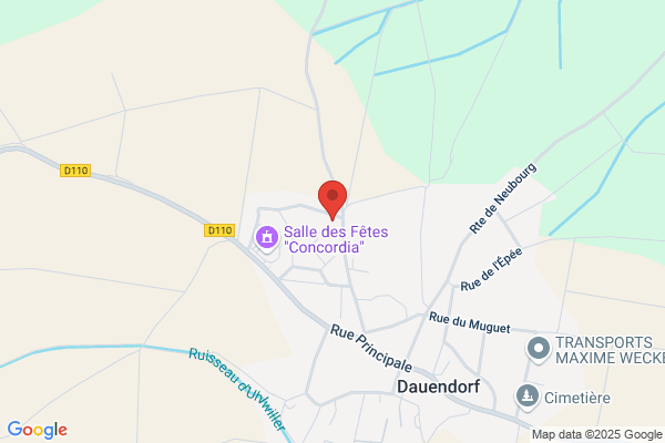ALSACE-ENQUETES INVESTIGATIONS