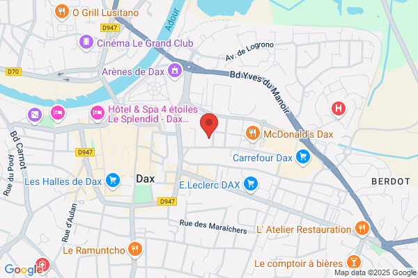 Hotel Ducourau