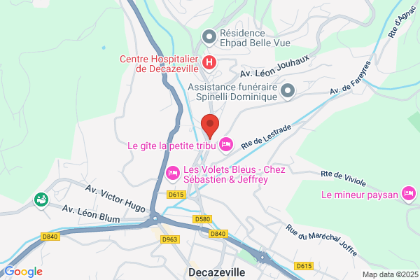 AUTO ECOLE DOMERGUE