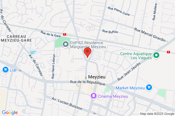 GMF Assurances MEYZIEU