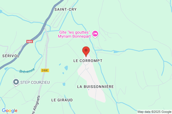 Chomel Michel