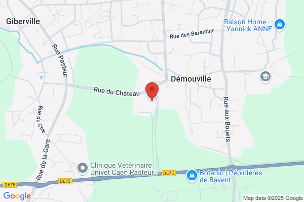 Delphine RIVET - iDP