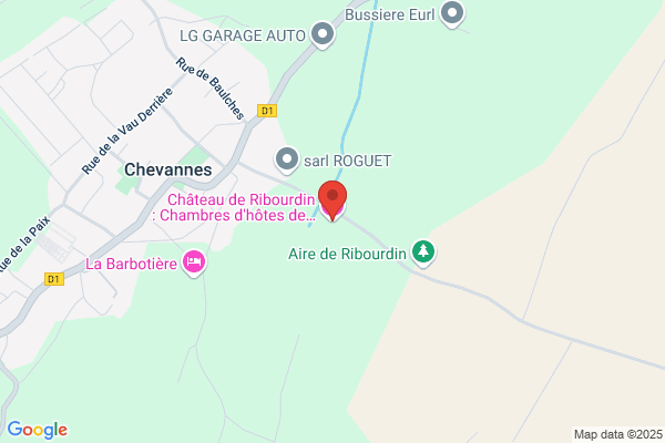 Château de Ribourdin