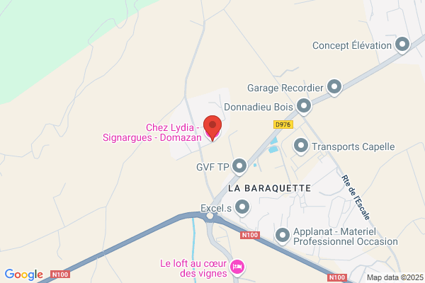 DELICES DE L ILE MAURICE