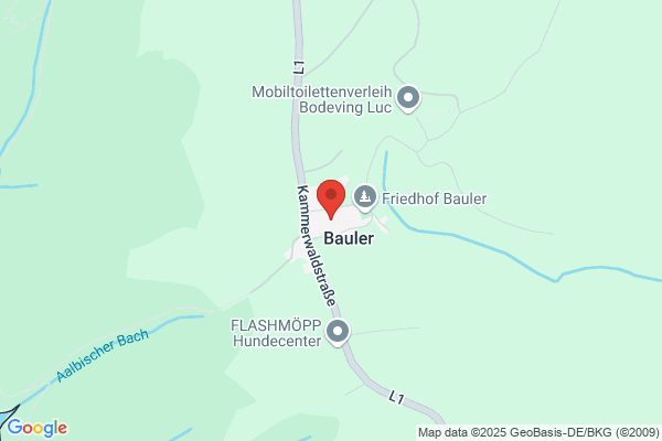 Bauler Jacques