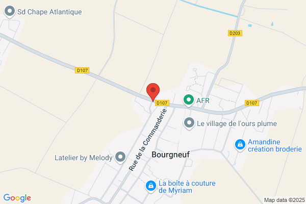 Aux Chiens Savon