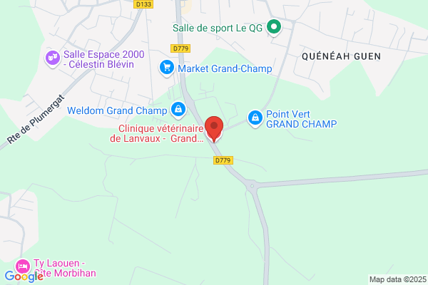 Clinique Veterinaire