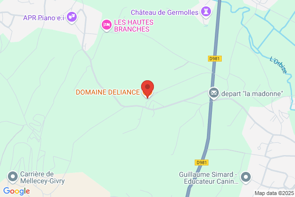 Domaine Deliance