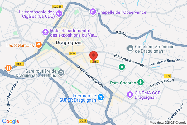 Dracenoise De Peinture