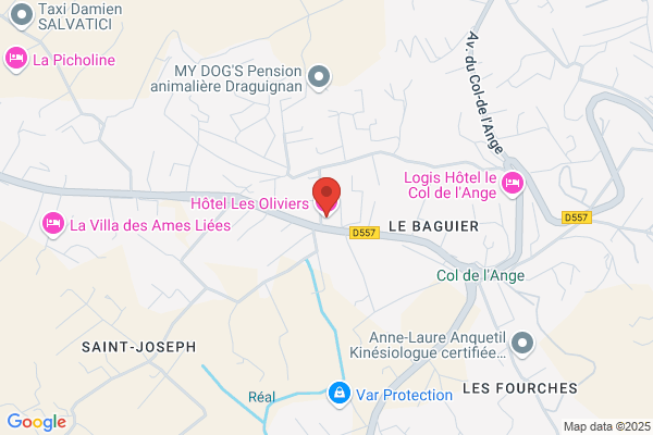 Hotel Les Oliviers