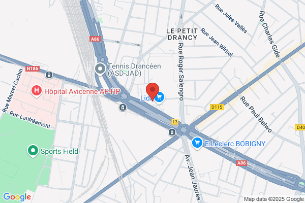 Adept Association Departementale Promotion Tzigane