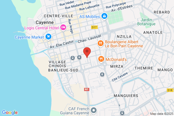 DYN Conduite auto ecole Cayenne