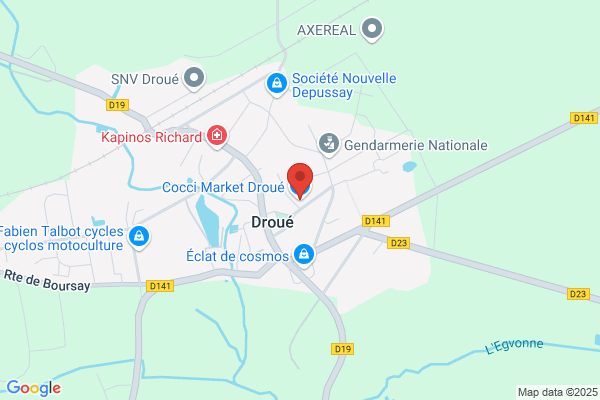 cocciMarket