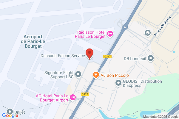 Dassault Falcon Service