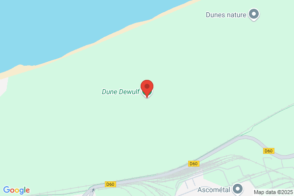 Dune