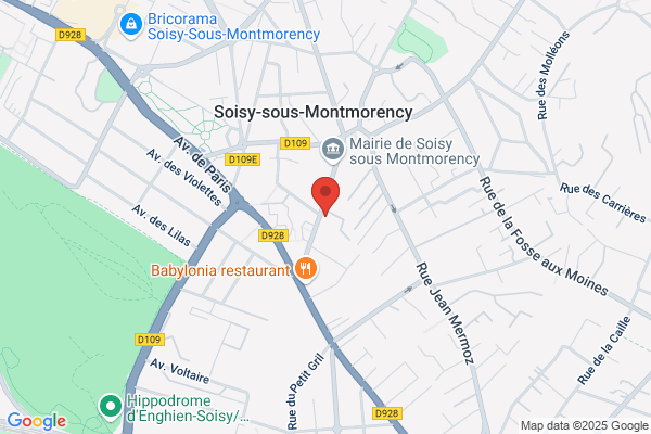 Bouillon Marie France