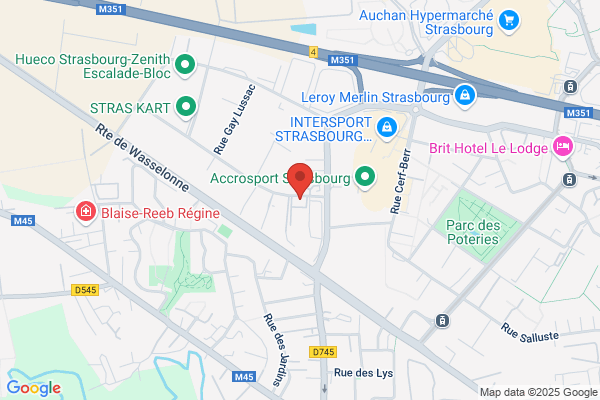 Gestion Analyses Informatiques Sarl