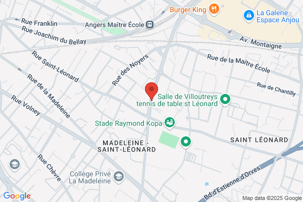 Association Angers Noyant Handball Club