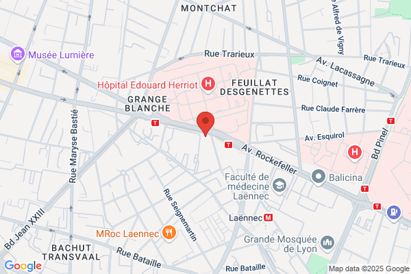 Basset Josiane