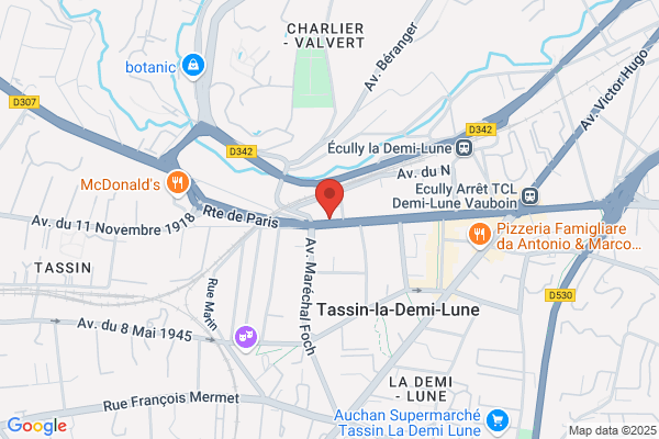 Greppo Renee