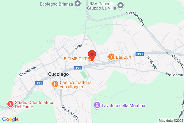 Cane E Gatti