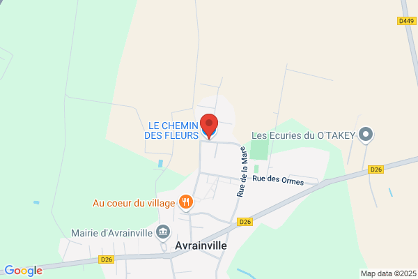 Carline Fleurs