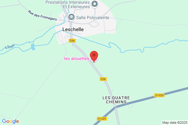 Bouton D Or
