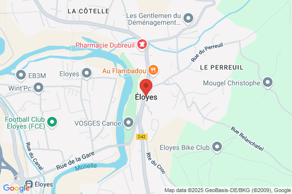 Direction Vosgienne Des Interventions Sociales Dvis