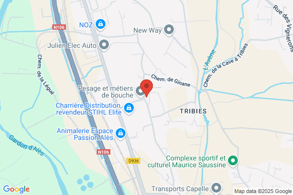 Club De L Epagneul Francais