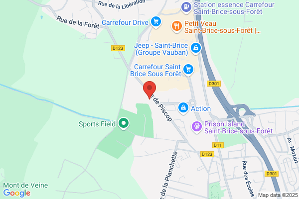 France Pare-Brise SAINT-BRICE SOUS FORÊT