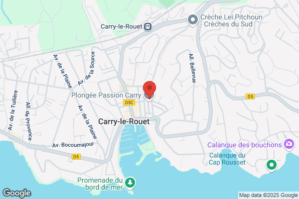 Bourrelly Luc