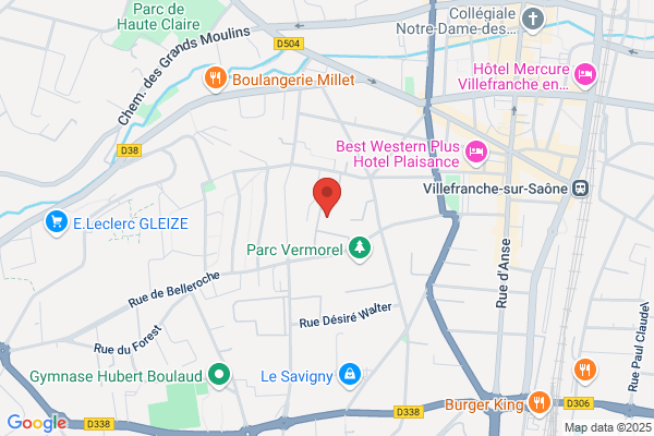 Bourguia Humbrecht Marie Rose Peintre
