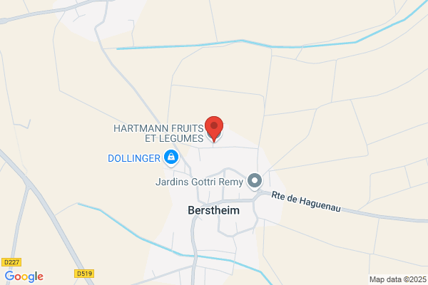 Hartmann Primeurs